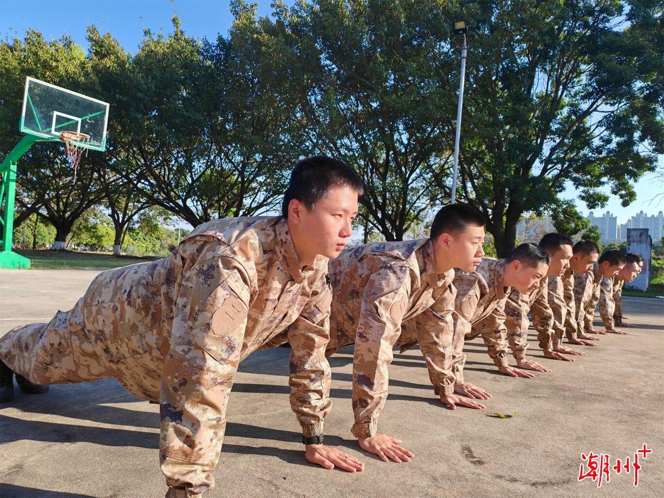53cac1416246ff95b39fb94d7a9c719f.jpg